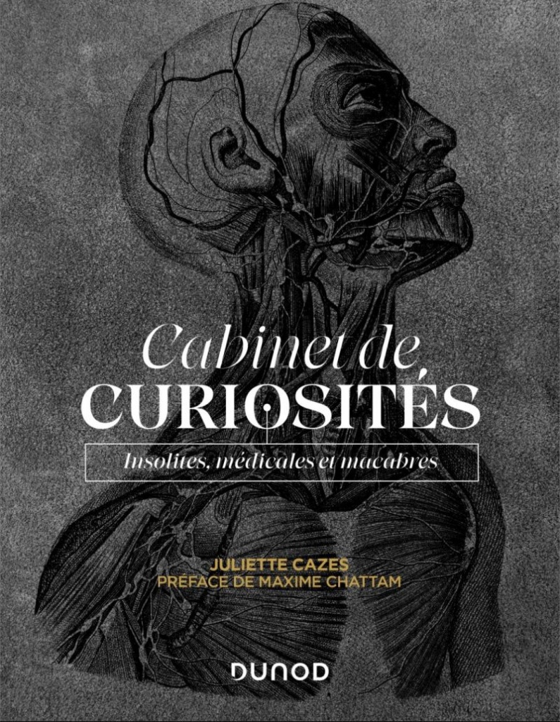 Cabinet de curiosités Juliette Cazes